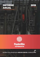 Informe 2019