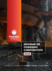 Informe 2020