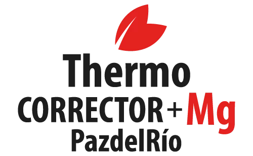 Certificación ISO 9001
